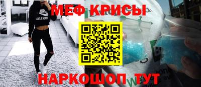 стафф Гатчина