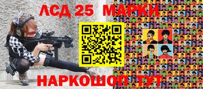 стафф Гатчина