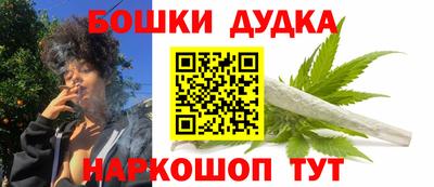 стафф Гатчина