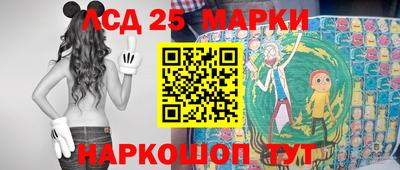 стафф Гатчина