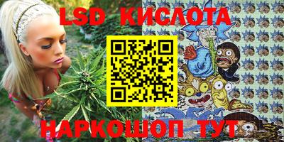стафф Гатчина