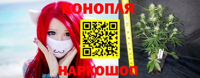 стафф Гатчина
