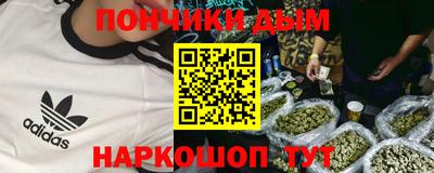 стафф Гатчина