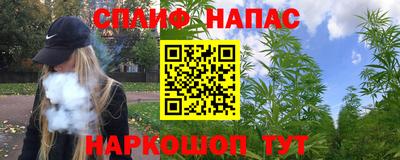гашик Гай