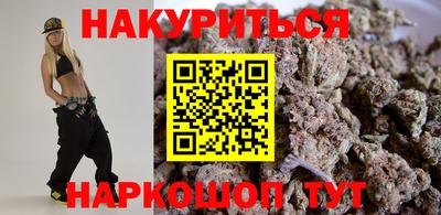 стафф Гатчина
