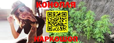 стафф Гатчина