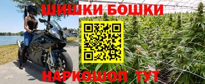стафф Гатчина