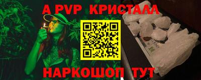 стафф Гатчина