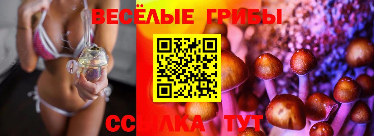 Псилоцибиновые грибы MAGIC MUSHROOMS  Псилоцибиновые грибы мухоморы  Вход с VPN  Горно-Алтайск 