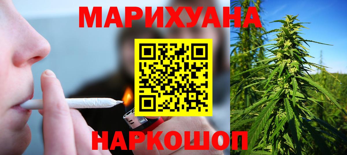 Бошки Шишки планчик Горно-Алтайск